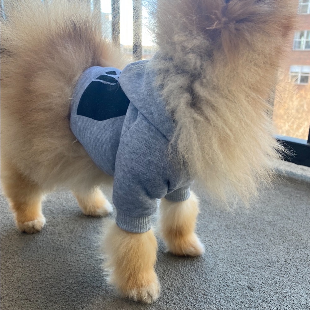 Dog sweater - Picture 3 of 3